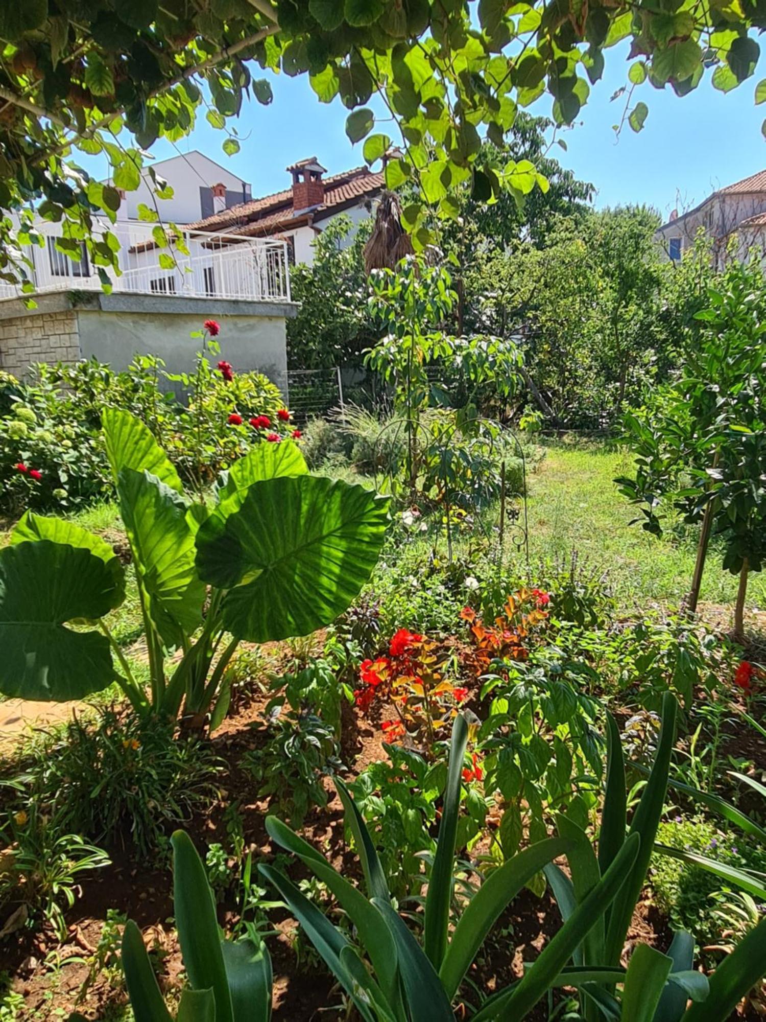 Ada Apartment Rovinj
